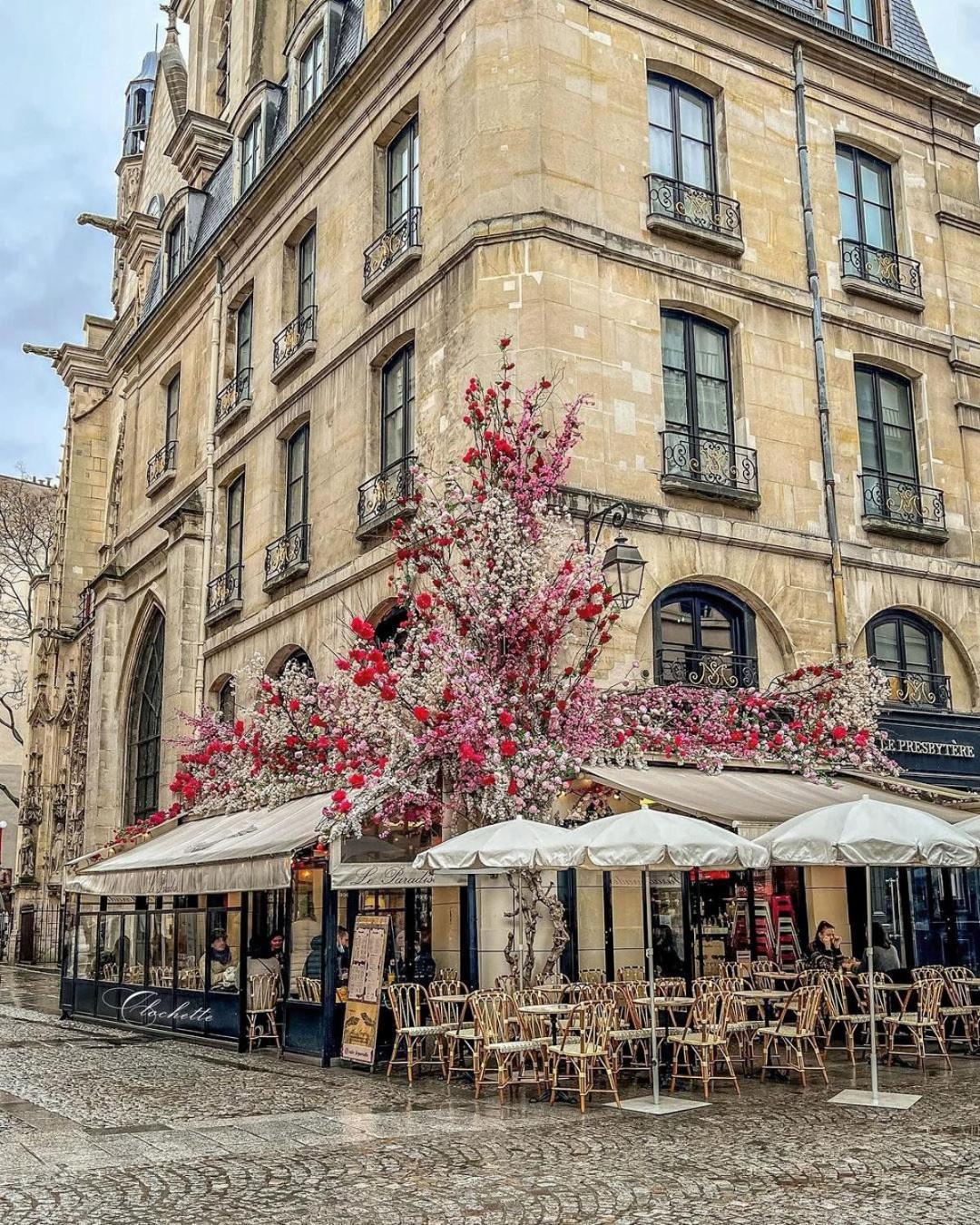 Hotel Le Presbytere París Exterior foto